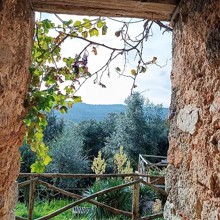 Awesome In Monticiano